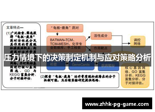 压力情境下的决策制定机制与应对策略分析